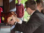 A groom holds up the pigs' head for guests to see